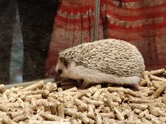 -大连圣亚海洋世界