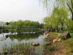 -新江湾城公园