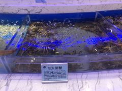 大闸蟹-澜悦港海鲜体验主题餐厅
