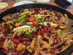 -老板恋上鱼(恒隆广场店)