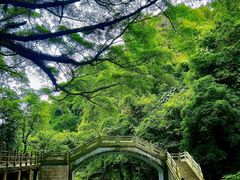 -广州市石门国家森林公园