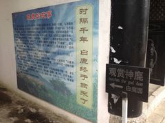 景点-白鹿洞书院