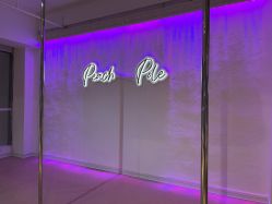 -桃秘钢管舞 Peach Pole Fitness