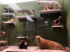 -国家自然博物馆