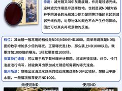 -CGWANG王氏教育(上海校区)