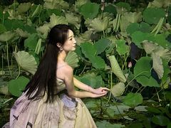 -莲湖公园