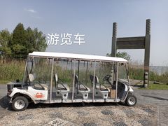 -莲花岛景区