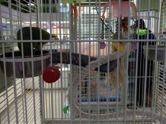 -乐宠宠物店(世纪金源店)