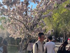 -元大都城垣遗址公园