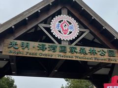 -上海海湾国家森林公园