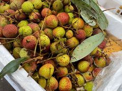 -西郊国际农产品交易中心