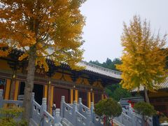 -四门塔风景区