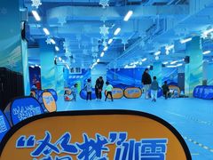 -中国宋庆龄青少年科技文化交流中心