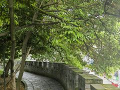-房湖公园
