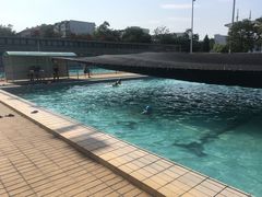 -昌平体育局室外游泳馆