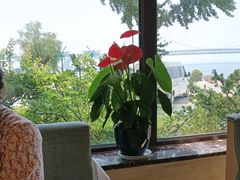 -天顺渔港·海景餐厅(星海广场店)