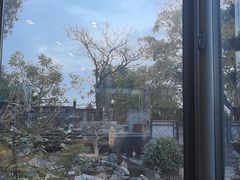 -蘇河湾·新鲁菜·泰山宴(泰山店)