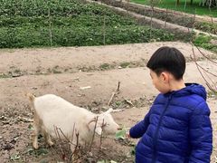 -小鱼草莓采摘园农家乐·小鱼餐厅