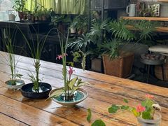-北马山庄植趣咖啡