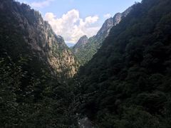 -青峰峡国家森林公园