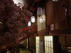 -汤泉良子(金源店)