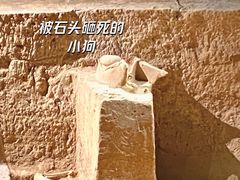 -洛阳周王城天子驾六博物馆