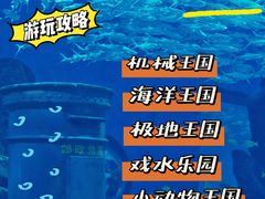 -海合安武汉极地海洋公园