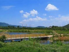 -永定河休闲森林公园