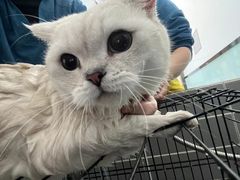 -嘉馨宠物医院·CT影像转诊·心脏科·犬猫全科诊疗中心(下沙大学城院区)