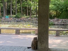 -人民公园-相亲角