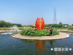 -白洋淀景区