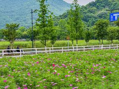 -杭州灵山景区