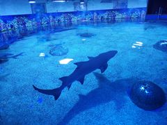 -成都浩海立方海洋公园