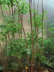 -好友缘酒家·宴会厅(西大店)