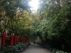 -昆明动物园