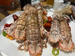 -大锅强·蒸海鲜青岛菜(吾悦广场店)