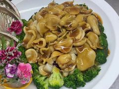 -北海渔村酒楼·粤菜海鲜点心(新华店)