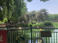 -黄村公园