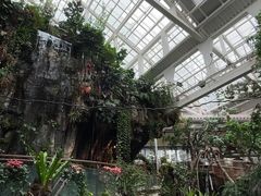 -正佳雨林生态植物园