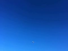 -黄金海岸
