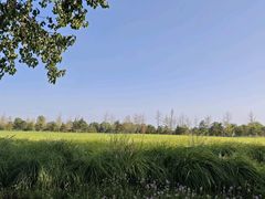 -汉长安城未央宫国家考古遗址公园