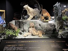 -厦门诚毅自然探索馆