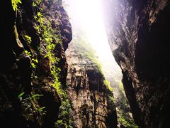 -武陵山森林公园