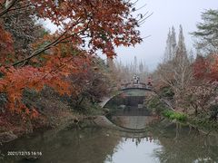 -田野绿世界