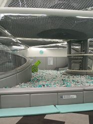 -MINI MARS 移动的空间站乐园·餐饮·派对(浦东金桥店)