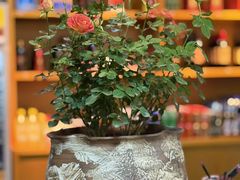 -江南荣村(小溪店)