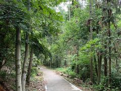 -青龙山国家森林公园