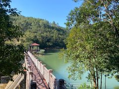 -广州白江湖森林公园