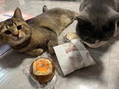 -屋裡·Union Bakery(龙江路店)