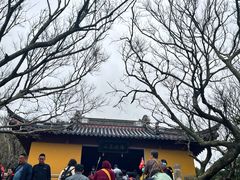 -珞珈山-售票处